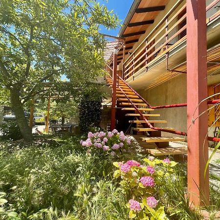 Apartment Olive Grove Izola Exterior foto